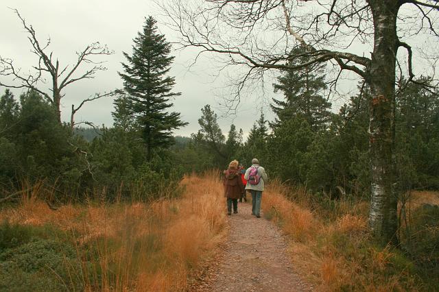 Schliffkopf 2007 Bild Nr 14
